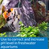 API pH UP Freshwater Aquarium Water pH Raising Solution 118 ml Bottle
