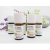 Industries Essential Oil Peppermint 5ml