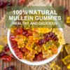 60Caps Mullein Leaf Gummies | Supports Healthy Respiratory Function, Antioxidant