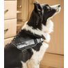 PROtastic Deluxe Dog Mount (Large) for GoPro/Xiaomi/SJCAM Action Cameras