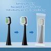 Sonic Replacement Toothbrush Heads Compatible with Waterpik Complete Care 9.0 (CC-01), 5.0 (WP-862) Electric Toothbrush, Soft Bristle, 10 Count (Black)