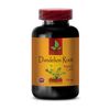 Immune support vitamins - DANDELION ROOT - 1 Bot 60 Caps - dandelion root pills