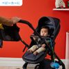 b.box Connect-A-Cup for Baby Bottle, Cup(Passion Splash)