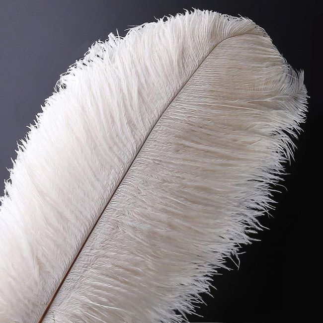 10pcs Natural Ostrich Feather Plume - 12-14 Inch (30-35cm) Wedding Centerpiece Home Decor (30-35cm,White)