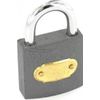Securit Tricircle Iron Padlock50mm S1122
