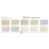 Tosa Plaster Does It Dedicated color natural beige H8