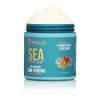 Mielle / Sea Moss / Anti-Shedding Curl Pudding 8oz / (Pack of 1)