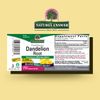 Nature's Answer Dandelion Root with Low Organic Alcohol 2000mg 1oz Extract | Supports Liver Function | Gluten-Free, Kosher, Non-GMO | Single Count