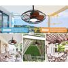 20" Wet Rated Caged Ceiling Fan w/Light & Remote Control Dimmable LED Chandelier