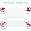 White Flea Trap Refill Discs Strong Sticky Non Toxic Compatible With Terro 6 ...