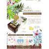 Epier epier FLORA COLLECTION Power of lactic acid bacteria 20,000 (2 trillion) pieces 250mg x 60 grains