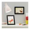 IKEA Fiskbo Frame, Black, 5" X 7" (2 Pack)