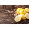 Lemon Geranium & Tea Tree Shampoo Handmade Chemical Free (500ml)