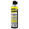 Raid Wasp and Hornet Killer, 17.5 OZ (Pack - 1)