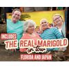 The Real Marigold Hotel: Series 2 [DVD]