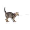 Max & Molly Urban Pets Smart ID Cat Collar Ruler 1 Size
