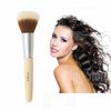 2 pc Cala Bamboo Eco Natural Makeup Brush Complexion Brush Foundation Blush soft