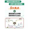 思维导图记单词·小学英语单词