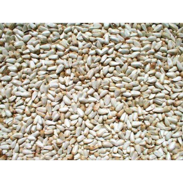 prdseed Safflower - 50lb Bag