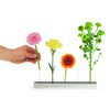 XXD Flower Boulevard Vase – an Vase – Impressed by Design