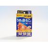 【第2類医薬品】スピール膏 ワンタッチEX SPAM 12枚 ×2