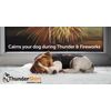 ThunderShirt Sport Dog Anxiety Jacket, Platinum, Medium