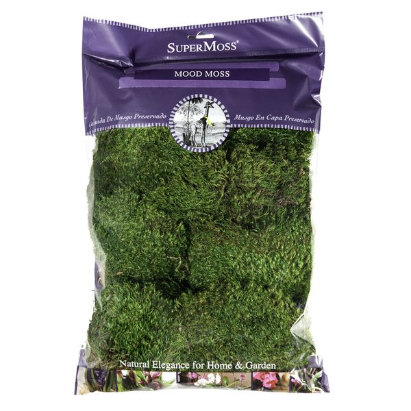 SuperMoss (21539) Mood Moss Preserved, 200 Cubic Inch Bag (Appx. 8oz), Fresh Green