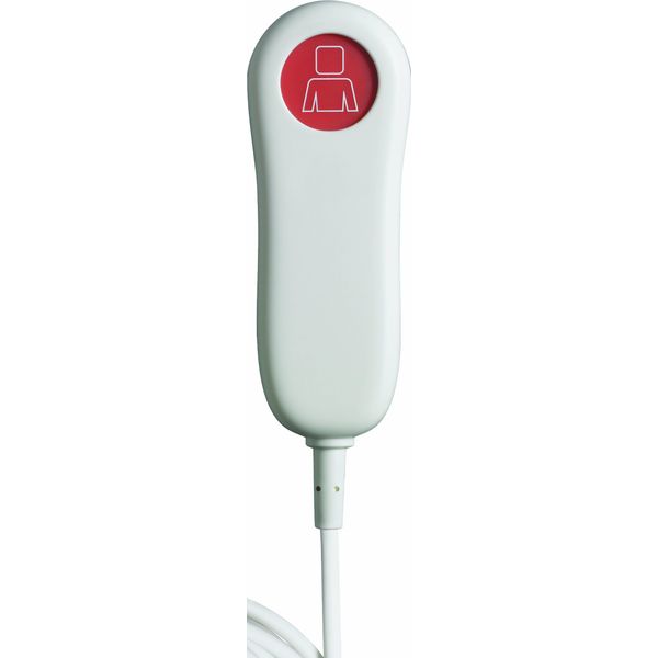 GIRA 295500 Birn Button Call System 834