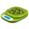 Ozeri ZK420-DG Garden and Kitchen Scale, Polycarbonate, Greenery