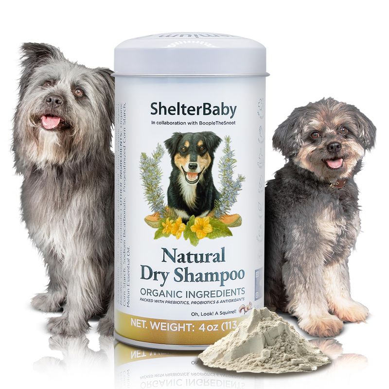 Curated visual reference: Picture Idea: Dry Shampoo For Dogs Itchy Skin Hot Spot Relief Yeast