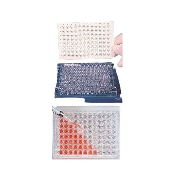 Diversified Biotech Wellpad WPNP-1000, 50 Count