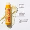 Burt's Bees Gift set