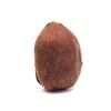 Bulk Hazelnuts with Skin 10 lb Wholesale Box