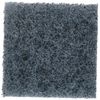 Lifegard Aquatics 3-Inch by 3-Inch Blue Algae Pad