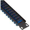 Delock 10″ LWL Patchpanel 12 Port SC Duplex blau 1 HE schwarz