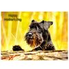 Miniature Schnauzer Mothers Day Card