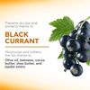 Apivita Lipcare Black Currant 4.4g