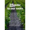 Oregon's Wild Harvest Organic Licorice Root Capsules, 90 Count