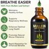 Mullein Leaf Extract for Lungs,Mullein Drops,Premium Mullein Leaf Extract Support for Cleaning The Airways