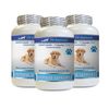 dog antioxidants - DOGS IMMUNE SUPPORT - supplements for dogs with tumeric 3B