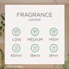 Air Wick Automatic Spray Starter Kit + 2 Summer Delights Refills