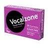 Vocalzone 3 Flavour 6 Pack Bundle | Sore Throat Relief Pastilles | Multi-Pack (6 x 24)