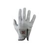 2022 PAYNTR X 001 Golf Glove Right Hand (Regular) (Medium)