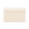 Francfranc Wave Box, Small, Ivory, Storage Box, New Life, Moving