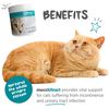 maxxipaws maxxiUtract Urinary & Bladder Support - Powder Supplement for Cats, 90g