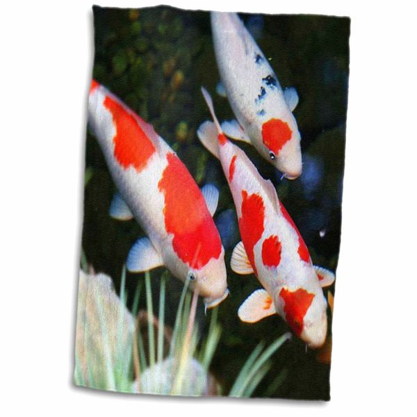 3dRose Florene Fish - Japanese orange n White Koi Fish - Towels (twl-62378-1)