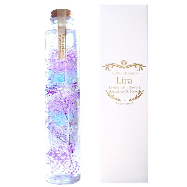 Lira Preserved Flowers, Flower Language, Gratitude, Herbarium Grass, Made in Japan, Height 8.5 inches (21.5 cm), Cylindrical Shape, Present, Gift, Mother's Day, Celebration (Cool Blue)