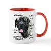 CafePress Brindle Mastiff FAQ 11 oz (325 ml) Ceramic Coffee Mug
