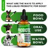 Dog Probiotics Drops | Digestive Balance & Enzyme Blend | 2 Oz