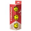 HEAD Championship 40-3 Pack
